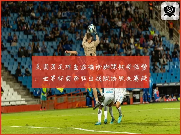 美国男足理查兹确诊脚踝韧带伤势,世界杯前面临出战欧协联决赛疑问